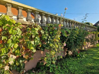 Apartment 6-Betten Ferienhaus "Herrenhaus" - Outdoor photo 17