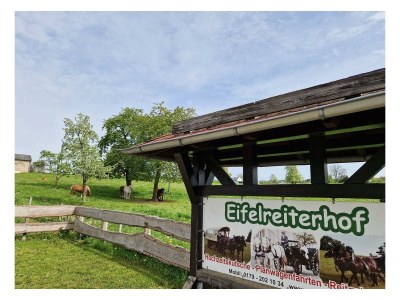 Apartment 6-Betten Ferienhaus "Herrenhaus" - Outdoor photo 18