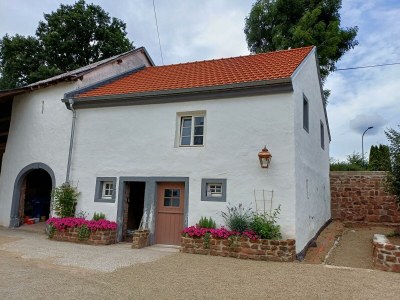 Apartment 6-Betten Ferienhaus "Herrenhaus" - Outdoor photo 24