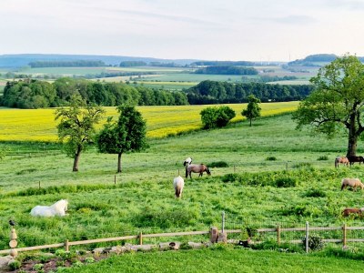 Apartment 6-Betten Ferienhaus "Herrenhaus" - Features photo 41