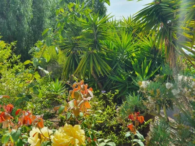 Holiday house Ca la Era - Outdoor photo 6