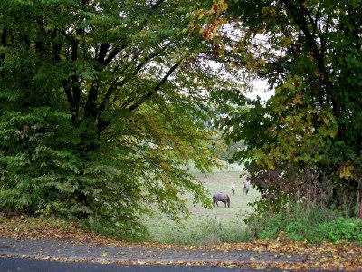 Apartment Gemütliches Apartment in Kerpen mit Garten - Environment photo 28