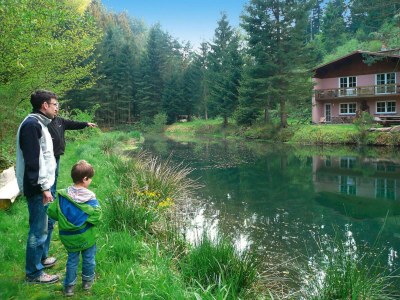 Apartment Apartment in Alsace with Nature Retreat - Outdoor photo 5