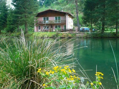 Apartment Apartment in Alsace with Nature Retreat - Outdoor photo 6