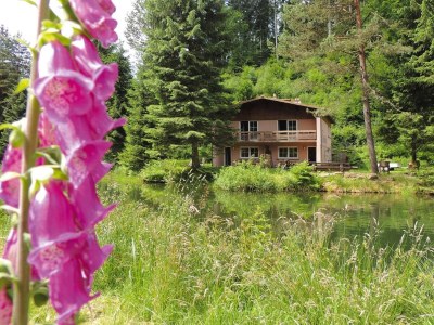 Apartment Apartment in Alsace with Nature Retreat - Outdoor photo 7