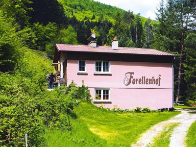 Apartment Apartment in Alsace with Nature Retreat - Outdoor photo 9