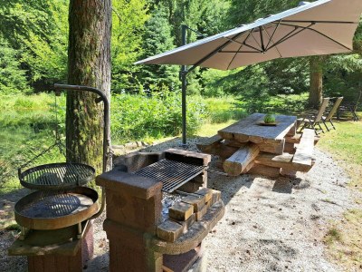 Apartment Apartment in Alsace with Nature Retreat - Outdoor photo 11