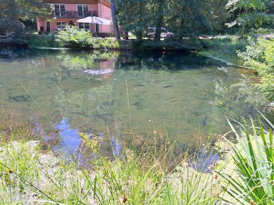 Apartment Apartment in Alsace with Nature Retreat - Outdoor photo 13