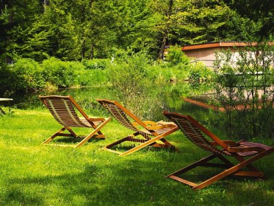 Apartment Apartment in Alsace with Nature Retreat - Outdoor photo 14