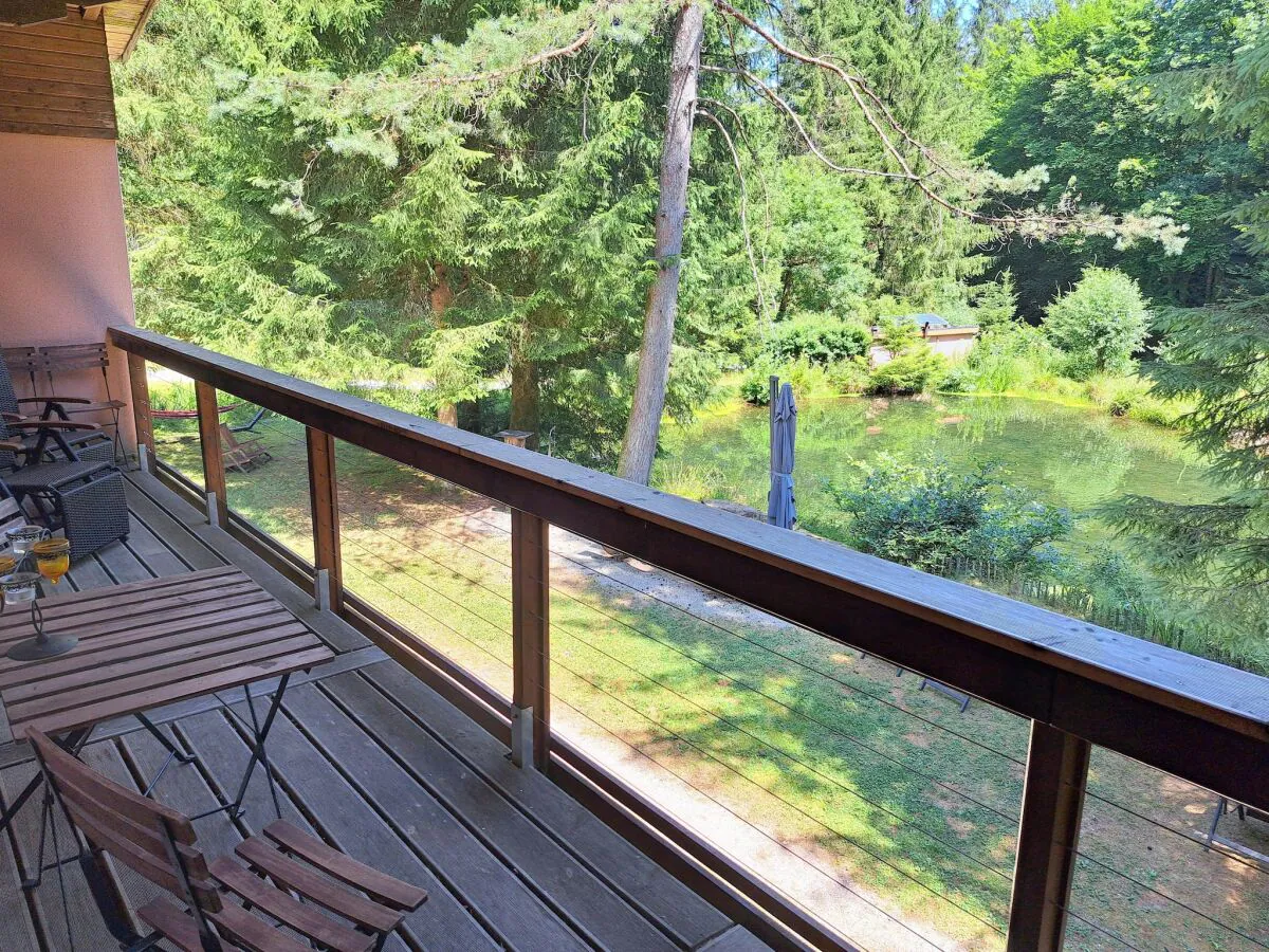 Apartment Apartment in Alsace with Private Terrace