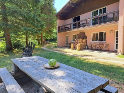 Apartment Apartment in Alsace with Private Terrace - Outdoor photo 3