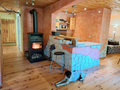 Apartment Apartment in Alsace with Private Terrace - Features photo 12