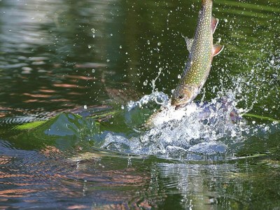 Apartment Apartment in Alsace with Private Terrace - Environment photo 23
