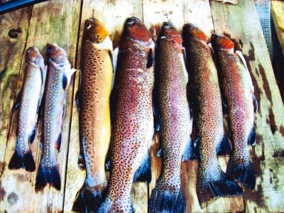 Apartment Apartment in Alsace with Private Terrace - Outdoor photo 25