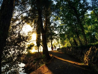 Apartment Apartment in Croatia with Sea View Terrace - Environment photo 23