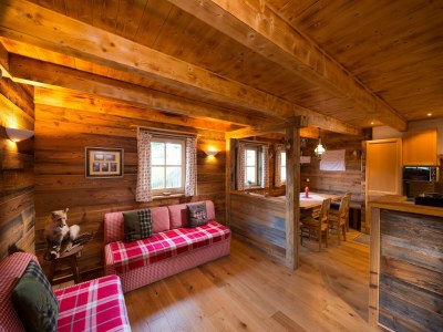 Chalet Chalet in St. Martin mit Sauna & Hotpot - Features photo 18