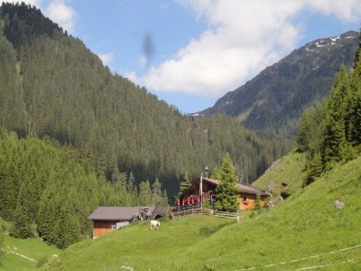 Chalet Chalet in Königsleiten near Hohe Tauern - Environment photo 26