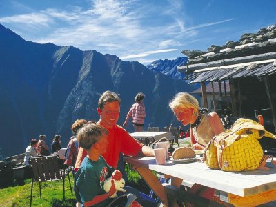 Chalet Chalet in Königsleiten with Wellness & Alps View - Environment photo 10