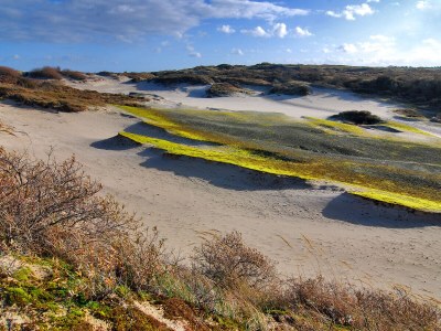 Holiday house Ostrea 12 - Environment photo 17