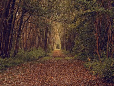 Apartment Ferienwohnung Weitblick in Schlagsdorf - Environment photo 21