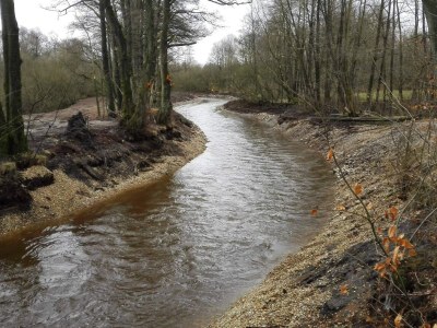 Holiday house 7 Personen Ferienhaus in Ansager-By Traum - Outdoor photo 9