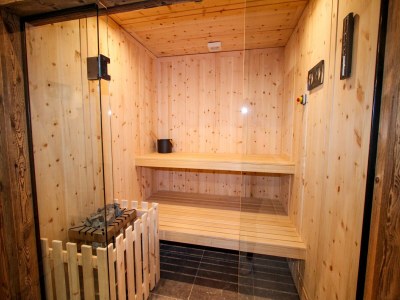 Chalet Chalet in Königsleiten am Skilift Zillertal - Outdoor photo 41