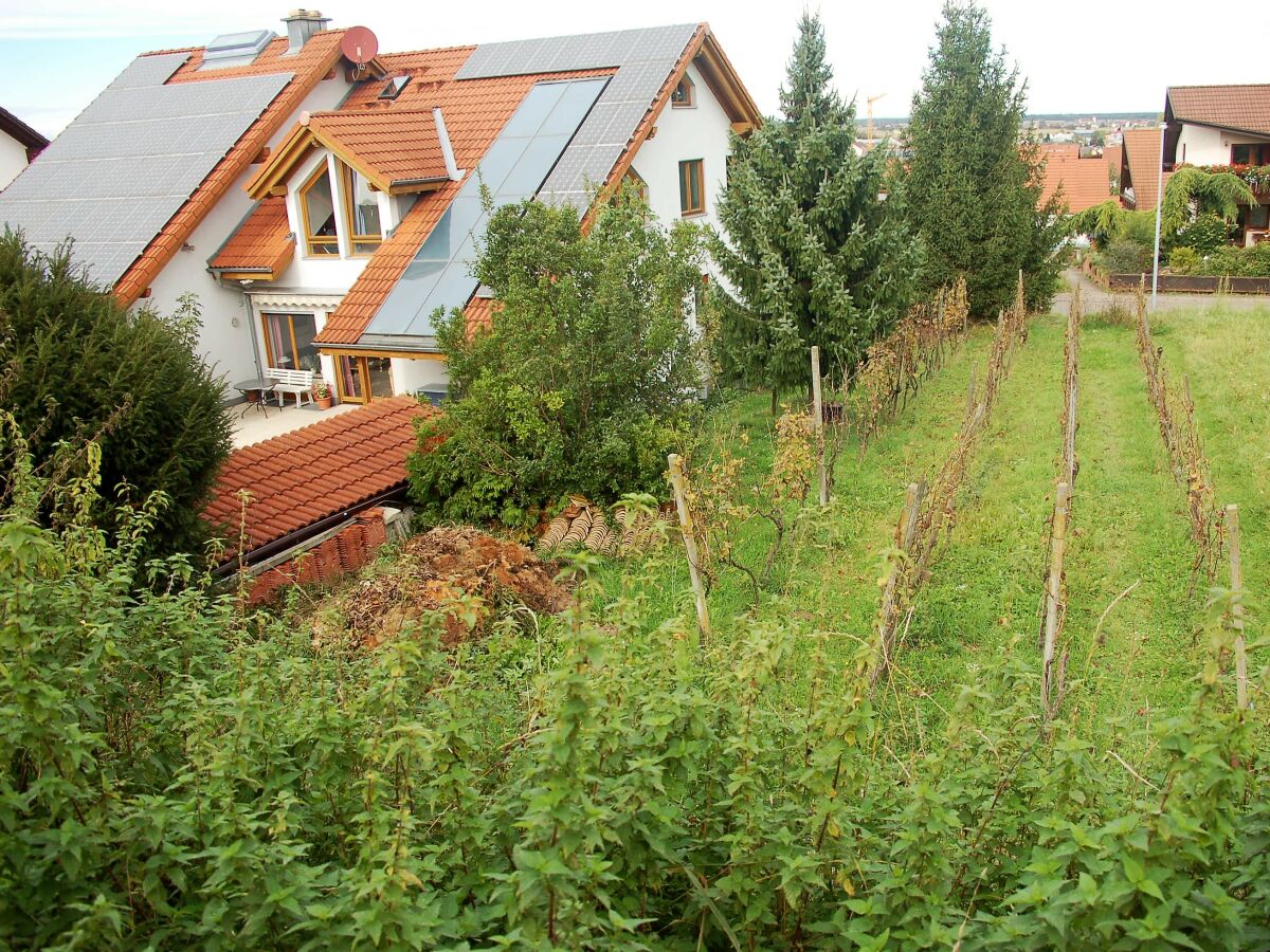 Holiday apartment House PiLu II (basement) - Outdoor photo 3