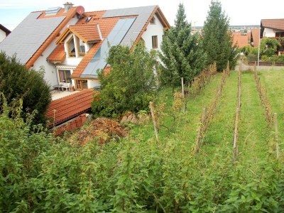 Holiday apartment House PiLu II (basement) - Outdoor photo 3