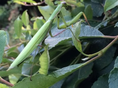Holiday apartment House PiLu II (basement) - Environment photo 12