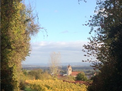 Holiday apartment House PiLu II (basement) - Environment photo 13
