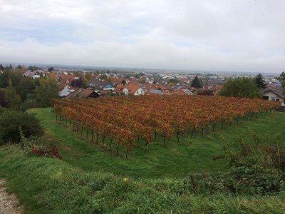 Holiday apartment House PiLu II (basement) - Environment photo 14