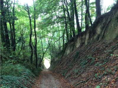 Holiday apartment House PiLu II (basement) - Environment photo 15