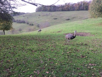 Holiday apartment House PiLu II (basement) - Environment photo 18