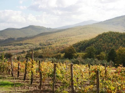 Holiday park Landhaus in Chiusdino mit Panoramablick - Outdoor photo 3