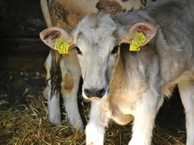 Holiday park Landhaus in Chiusdino mit Panoramablick - Outdoor photo 11