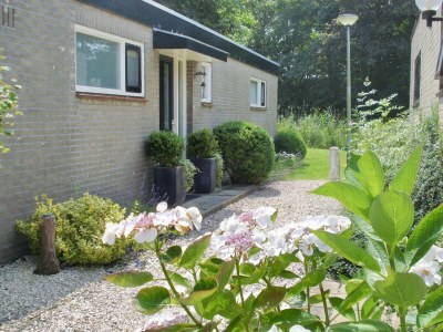 Holiday house Duinland 93 - Outdoor photo 4