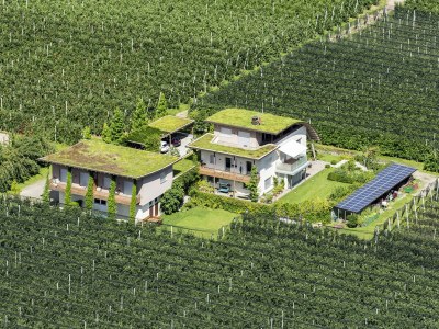 Holiday apartment Green at the Sandwiesen Farm in Gargazon - Holiday apartment