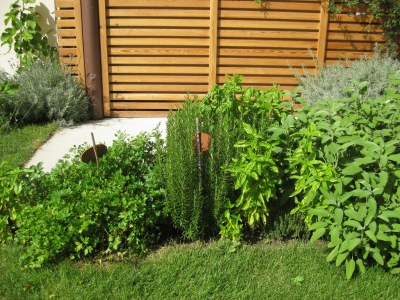 Holiday apartment Green at the Sandwiesen Farm - Outdoor photo 9