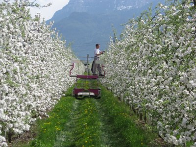 Holiday apartment Green at the Sandwiesen Farm - Outdoor photo 10