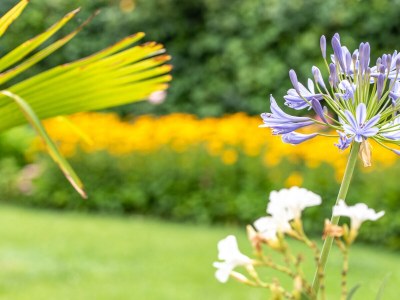 Holiday apartment Green at the Sandwiesen Farm - Outdoor photo 18