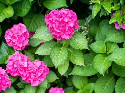 Holiday apartment Green at the Sandwiesen Farm - Outdoor photo 19