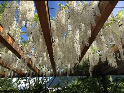 Holiday apartment Green at the Sandwiesen Farm - Outdoor photo 22