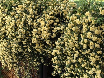 Holiday apartment Green at the Sandwiesen Farm - Outdoor photo 23