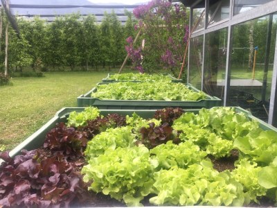 Holiday apartment Green at the Sandwiesen Farm - Outdoor photo 24