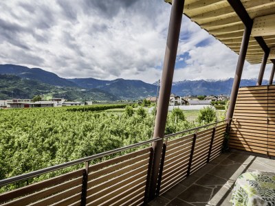 Holiday apartment Green at the Sandwiesen Farm - Features photo 27