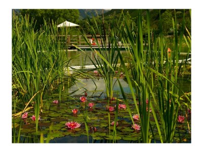 Holiday apartment Green at the Sandwiesen Farm - Environment photo 39