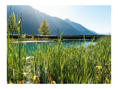 Holiday apartment Green at the Sandwiesen Farm - Environment photo 40