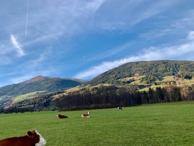 Apartment Chalet in Sulzau near Wildkogel Ski Arena - Environment photo 27