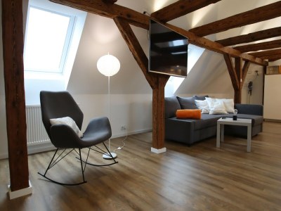 Apartment Bauernhaus am Plauer See mit Kamin - Features photo 16