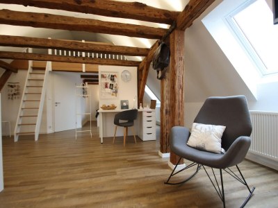 Apartment Bauernhaus am Plauer See mit Kamin - Features photo 19